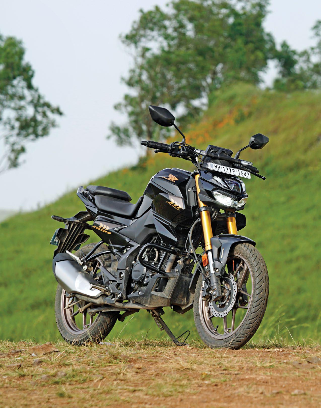 THE LITTLE HORNET WITH A LETHAL STING